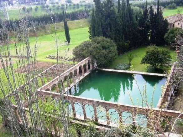 Bassa i Camps de conrreu