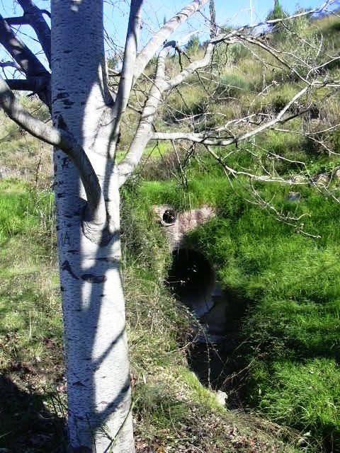 Desguas a Torrent - Autopista