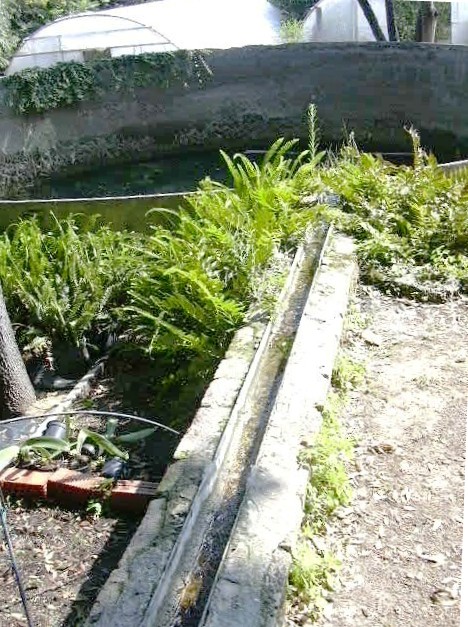 Canaló que porta l'aigua fins la bassa