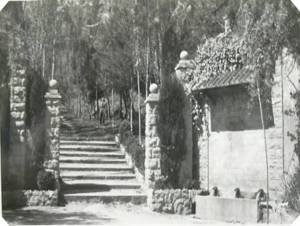 Font LLedó - Any 1954