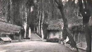 Font del LLedó - L'any 1954