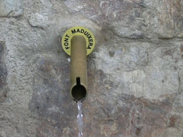 Font Maduixera de Barcelona