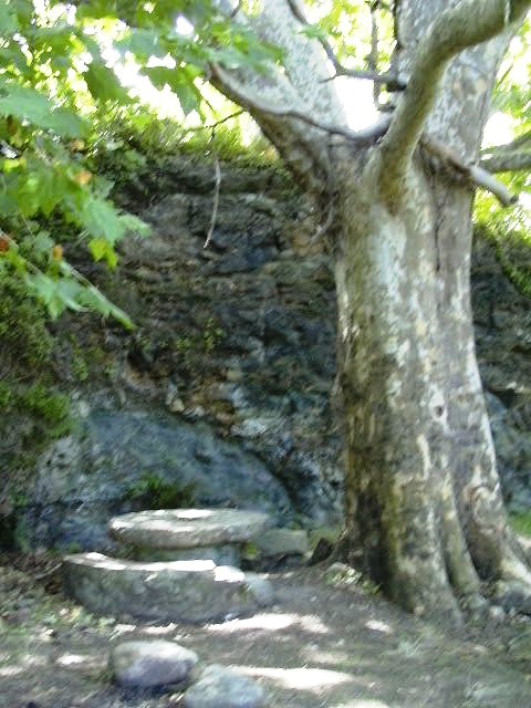 Ft. amb platan i taules rodones