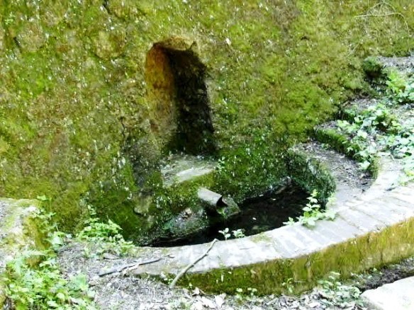 Font Nova de Can Cata