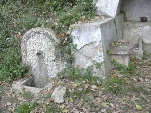 Ft. Tartana una sortida