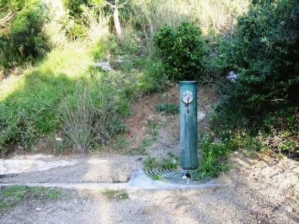 Ft Xarxa -Torrent Ft Alba