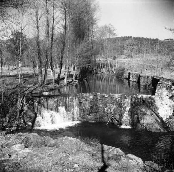 Sta Coloma de Farnes