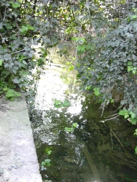 Sud 14 - Entran al Camps