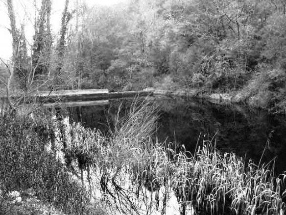 Pantanet prop de Mura