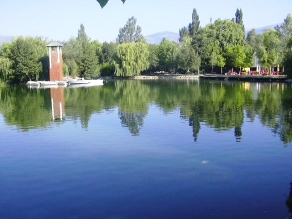 Vista parcial i torra 2