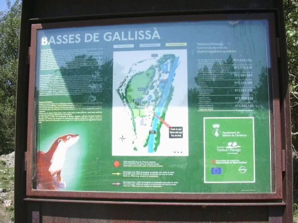 A1 - Cartell Basses de Gallissá