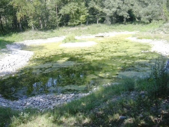 Bassa de Les Encantades