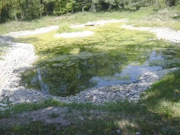 Bassa de Les Encantades