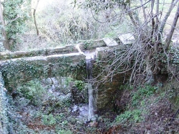 Canal i Bassa del Molí
