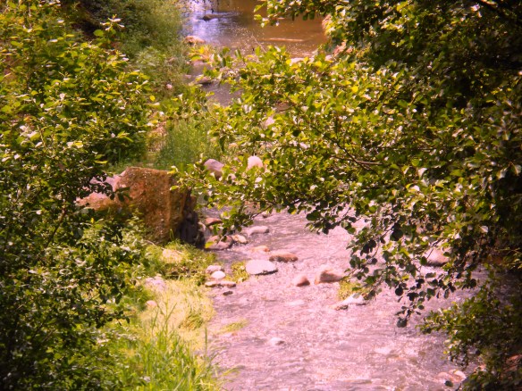 Pedra Roja al riu Congost