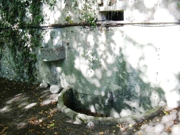 Ft 1 Capella Montserrat