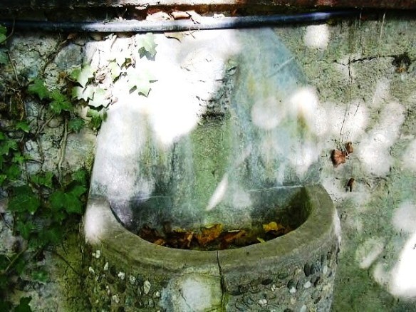 Fy 2 Capella Monrserrat 2