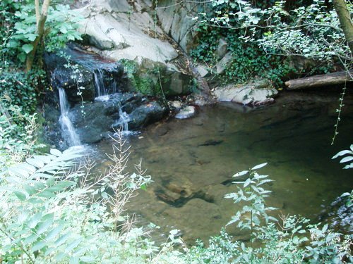 ???????????????????????????????