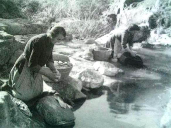 Selva del Camp -Rentan Riu Font Tosques