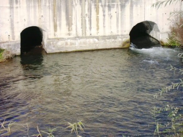 Aiguabarreix Ter i Ges -Sortida Fab.