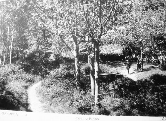 Aiguafreda- Ft. de Pinos