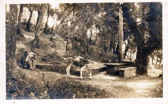 Castellterçol - Font deL Canyamera