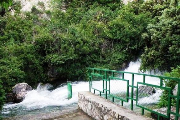 ??????????????????????