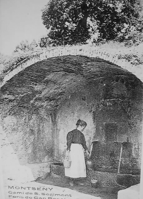 Montseny- Ft.Can Bosc