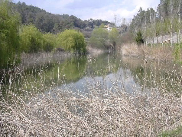 Panta St. Quirce Safage - Cua del Panta