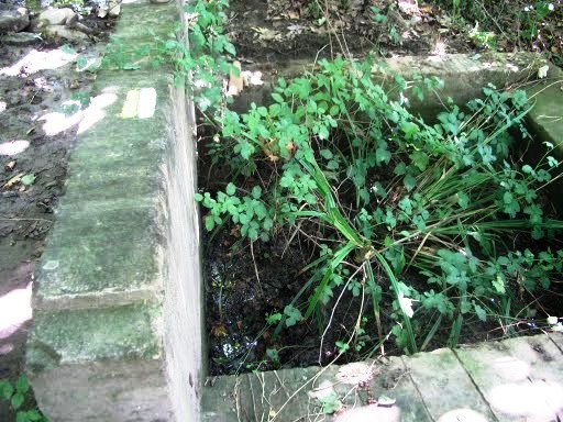 St . V. Torello - Safareig -La_Fonsanta