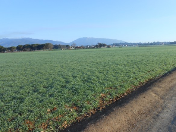 Vista Antic Camp d'Aviació