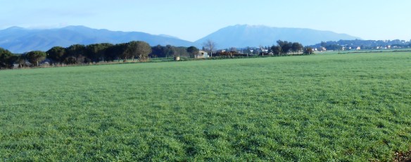 Vista de l'antic camp d'aviació