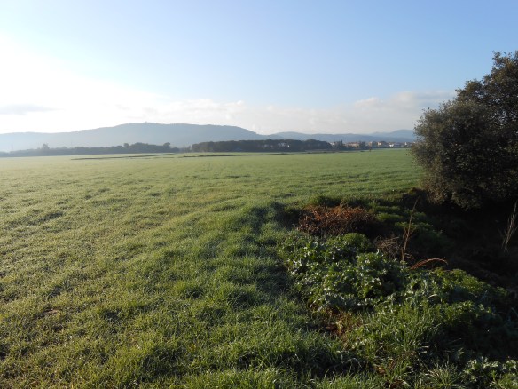 Vista de l'antic camp d'aviació