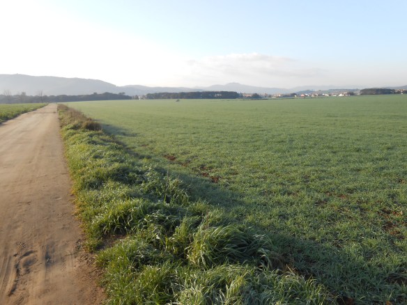 Vista de l'Antic camp d'Aviació
