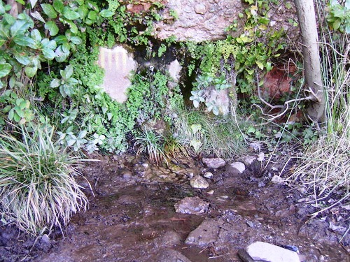 ???????????????????????????????