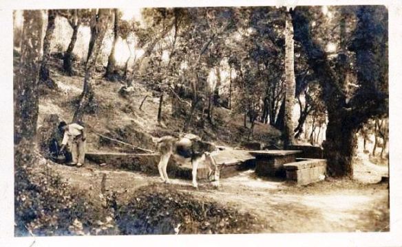 Castellterçol - Font deL Canyamera