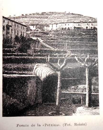 Font de la Petxina_01