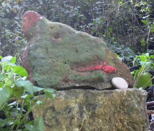 Ft Avallaners- Figura 7