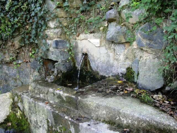 La Selva del Camp - Ft Gossos 2_01