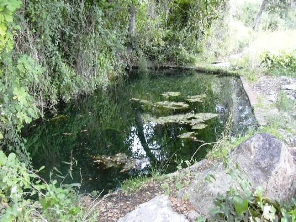 L'Albiol- Ft Mas Colomer 3