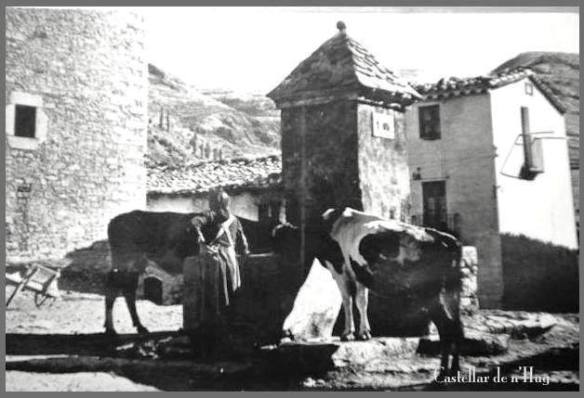 10155249_708337652539053_231243745_n