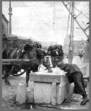 1173633_704261286280023_1763975687_n