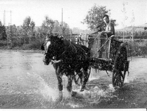 293814_424679634238191_1649474026_n_01