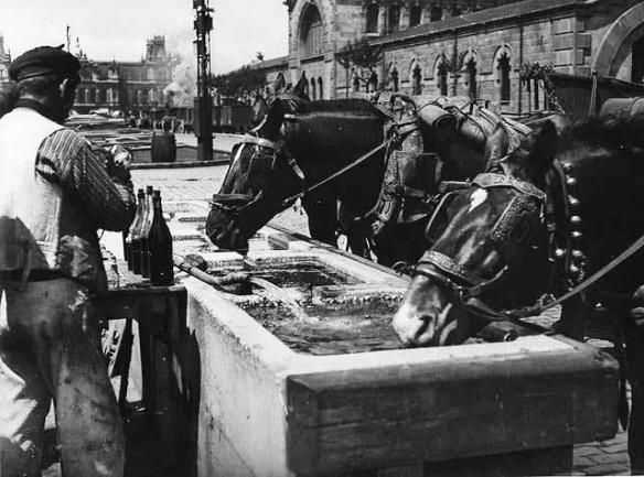 406139_306696929369796_402820227_n