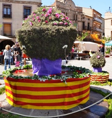 Fotografia de Reus diari digital