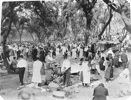 Barcelona   -  Ft . Eucaliptus