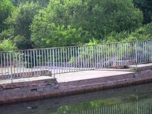 Desguas o sobrexidor 1