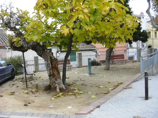 Ft carrer St. Miquel_01