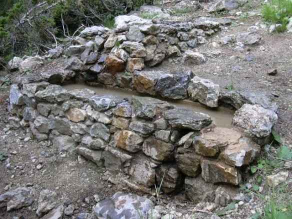 Ft. Ginebreda 1 -  GOSOL