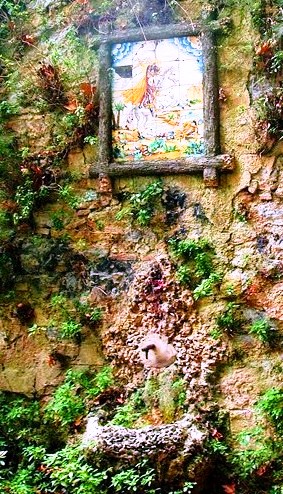 ??????????????????????